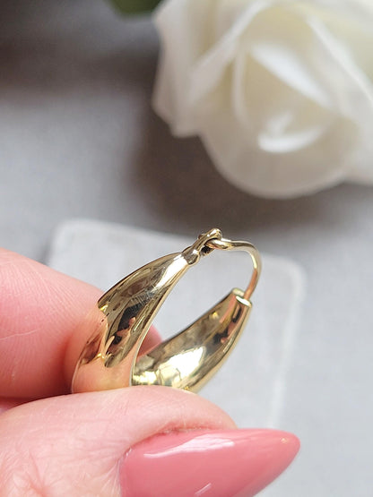 2.5cm Brass Hoop Earrings, Gold Tone Hoops, Hoop Earrings, Minimalist Brass Jewellery, Classic Statement Hoops , Brass Hypoallergenic
