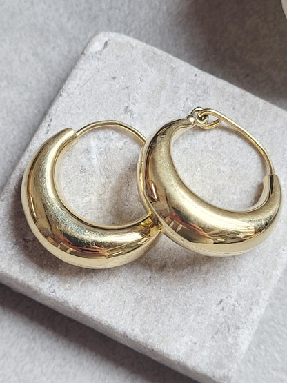 2.5cm Brass Hoop Earrings, Gold Tone Hoops, Hoop Earrings, Minimalist Brass Jewellery, Classic Statement Hoops , Brass Hypoallergenic