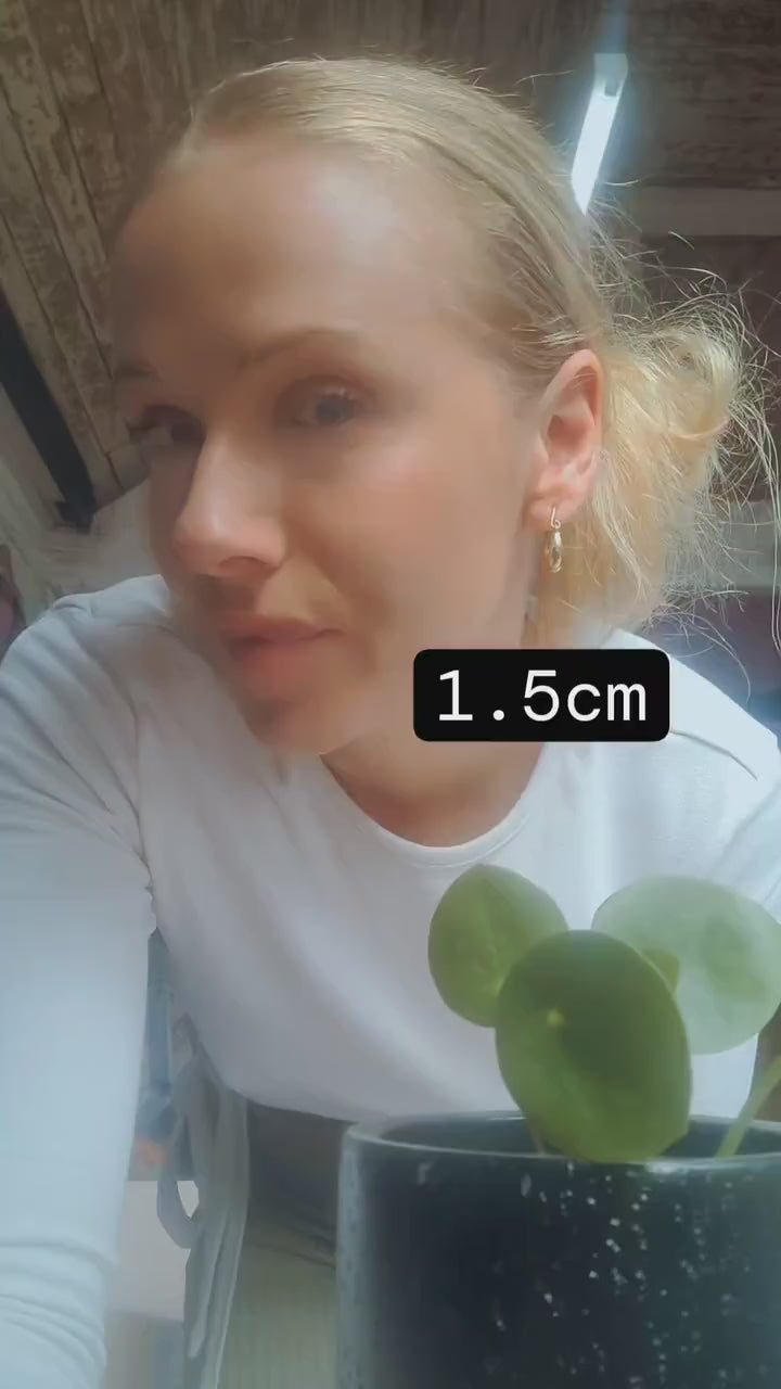 Brass hoop earrings / Classic hoops / Chunky earrings/ Simple jewellery / Unique / Hippie / Free shipping